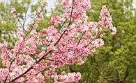 IMG_1952.JPG