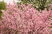 IMG_1957.JPG