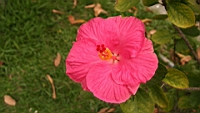 IMG_2025.JPG