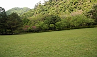 IMG_2147.JPG