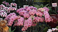 DSC00182.JPG