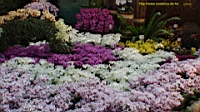 DSC00183.JPG