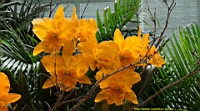 DSC00184.JPG