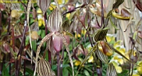 DSC00186.JPG