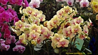 DSC00192.JPG