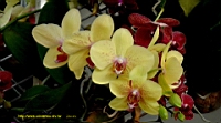 DSC00198.JPG