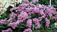 DSC00200.JPG
