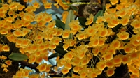 DSC00201.JPG