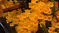 DSC00202.JPG