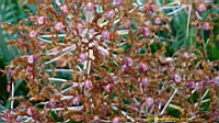 DSC00204.JPG