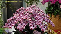 DSC00205.JPG