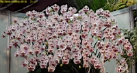 DSC00208.JPG