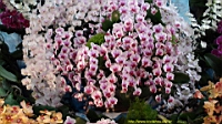 DSC00213.JPG