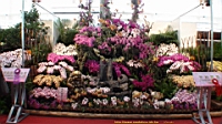 DSC00214.JPG