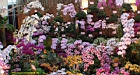 DSC00219.JPG