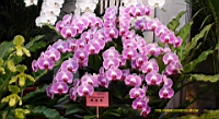 DSC00224.JPG