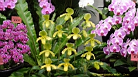 DSC00225.JPG