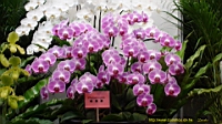 DSC00227.JPG