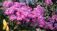 DSC00231.JPG