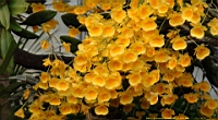 DSC00240.JPG