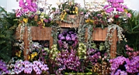 DSC00242.JPG