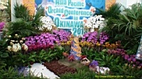 DSC00243.JPG