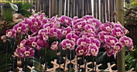 DSC00246.JPG