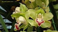 DSC00253.JPG