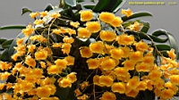 DSC00262.JPG