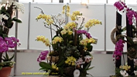 DSC00267.JPG
