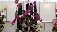 DSC00268.JPG