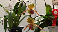 DSC00274.JPG