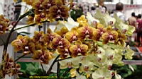 DSC00277.JPG