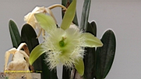 DSC00280.JPG