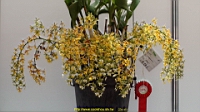 DSC00281.JPG
