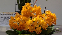 DSC00282.JPG