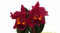 DSC00284.JPG