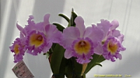 DSC00286.JPG