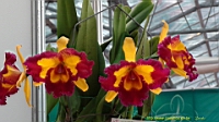 DSC00287.JPG