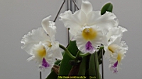 DSC00289.JPG