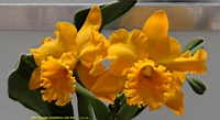 DSC00291.JPG
