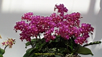 DSC00301.JPG