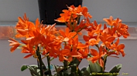 DSC00303.JPG