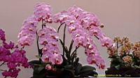DSC00309.JPG