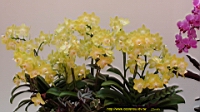 DSC00311.JPG
