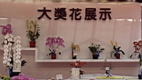 DSC00312.JPG