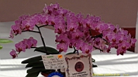 DSC00313.JPG