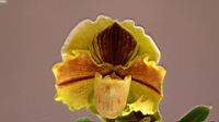 DSC00314.JPG