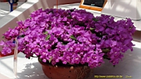 DSC00315.JPG
