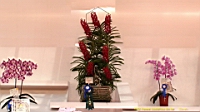 DSC00316.JPG